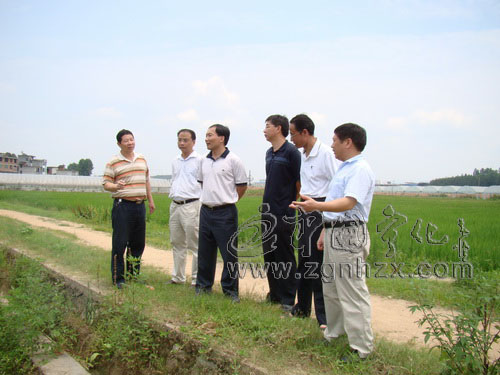 省農(nóng)業(yè)廳調(diào)研組來寧調(diào)研水稻機(jī)插秧推廣工作