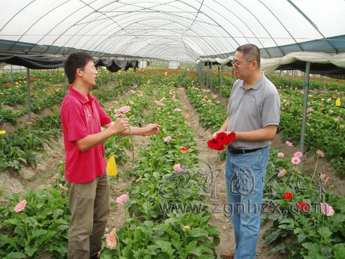 中國(guó)青年創(chuàng)業(yè)計(jì)劃三明站導(dǎo)師來寧指導(dǎo)