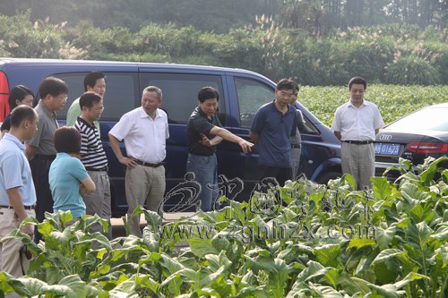 省煙草公司副總經理林則森來寧調研