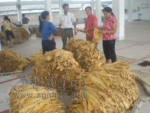 石壁鎮(zhèn)部署煙葉收購(gòu)工作