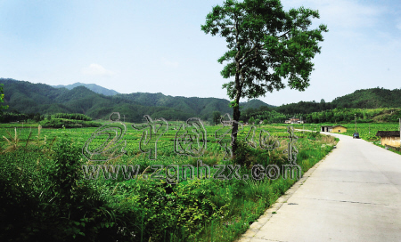 昔日“蘇區烏克蘭” 今成產糧和烤煙基地