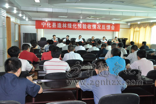 寧化造林綠化通過市預驗收