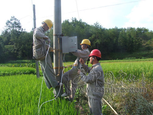 寧化15個抗旱供電服務隊活躍在田間地頭