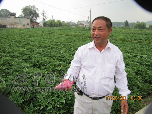 鄧仁賢：百姓心中的“地瓜王”