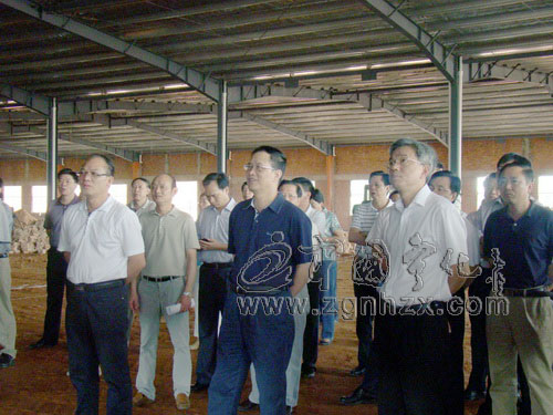 市委市政府工作檢查組昨日在寧檢查