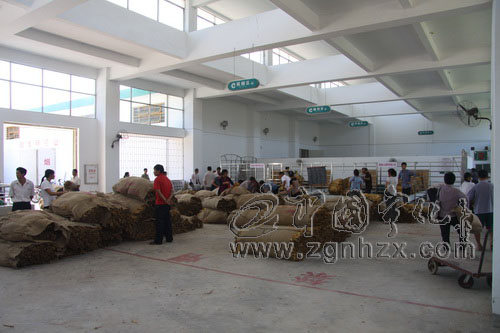 寧化煙葉今年廠家直調率超八成