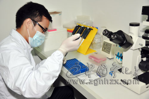 “客家基因族譜”成果發布 姓氏奧秘揭曉