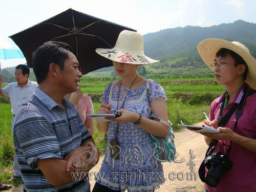 泉上鎮(zhèn)土地開發(fā)整理群眾得實惠