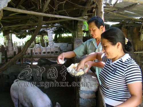 幸福來敲“幸運星”家門