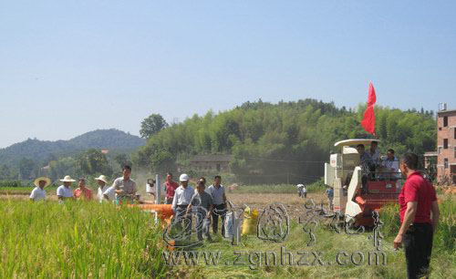五廠家在寧舉行新型收割機現場作業演示
