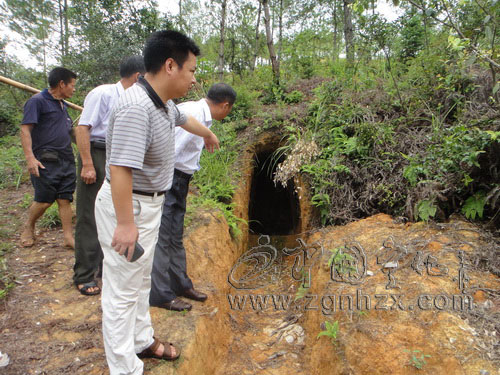 淮土鄉拉網式排查非法勘探開采稀土行為