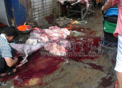 寧化14個(gè)單位“創(chuàng)衛(wèi)”工作不到位被通報(bào)