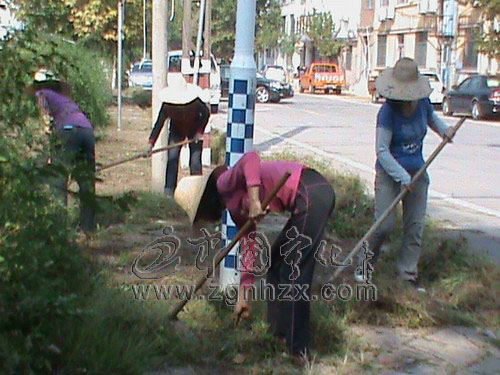 縣城建監察大隊清除雜草5000平方米迎祭祖大典