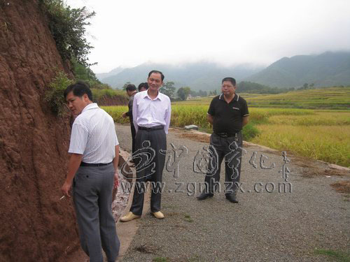 陳朝利檢查石碧鎮高標準農田建設示范工程
