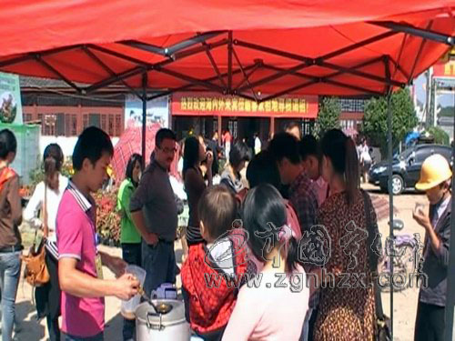 金銀花涼茶溫暖海內(nèi)外客屬鄉(xiāng)親的心