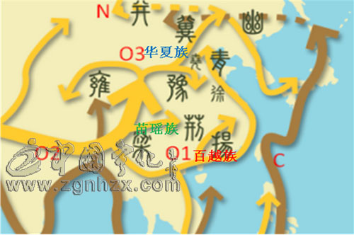 中新社：基因族譜研究“解碼”客家千年血脈