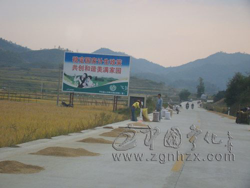 在公路上打場曬糧，危險!