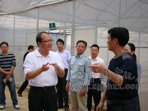 肖長根到泉上湖村開展專題調研活動