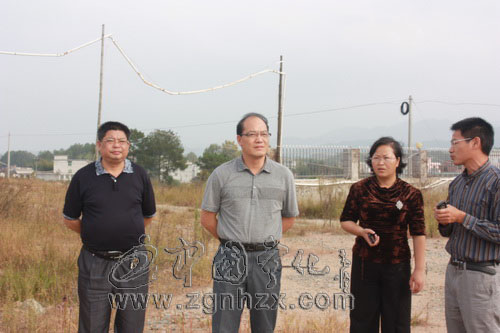 縣委書記肖長根到石壁鎮(zhèn)調(diào)研