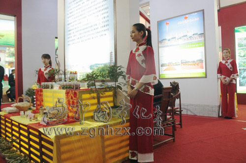 林博會：禮儀小姐為寧化館添彩