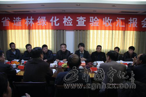 省檢查組到寧檢查驗收造林綠化工作