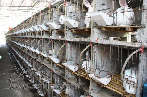 寧化農業產業化發展新添政策“杠桿”