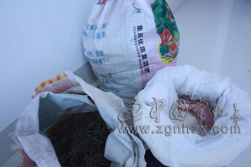 寧化在線情意濃 母親帶“禮”來謝恩