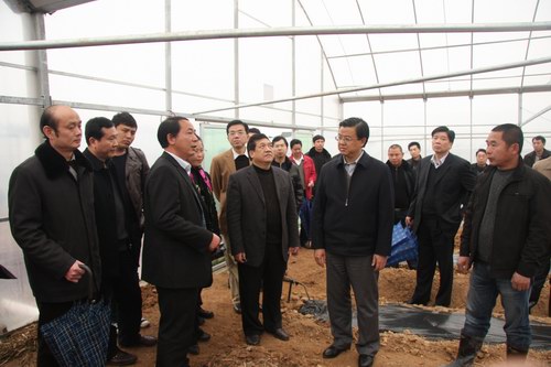 副省長倪岳峰到寧化調研