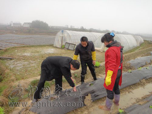 寧化：235名煙技員送技術到田頭