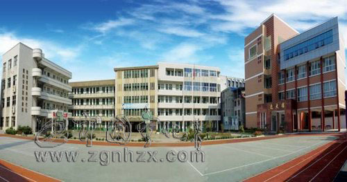 寧師附小被評為首批省級小學(xué)體育特色學(xué)校