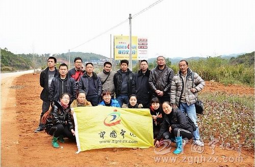 寧化在線網友義務植樹扮靚公路