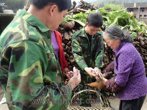 方田鄉：吹響春季動物防疫號角