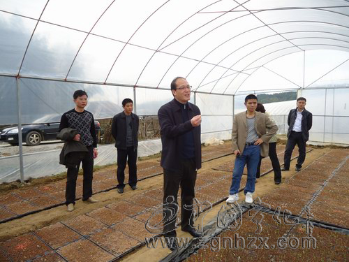 縣委書記肖長根到中沙鄉開展工作調研