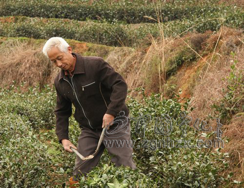 寧化今春突出技術(shù)服務(wù)治理水土流失