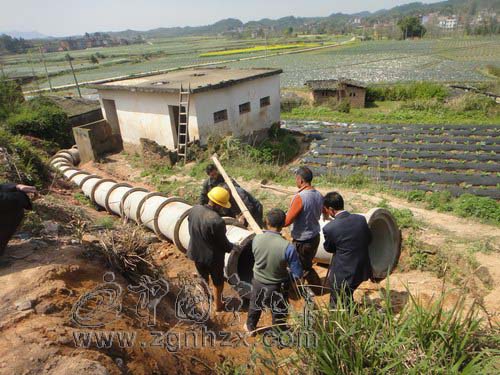 淮土鄉干群合力參與環境衛生整治
