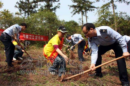 寧化地稅為水土流失區披綠裝