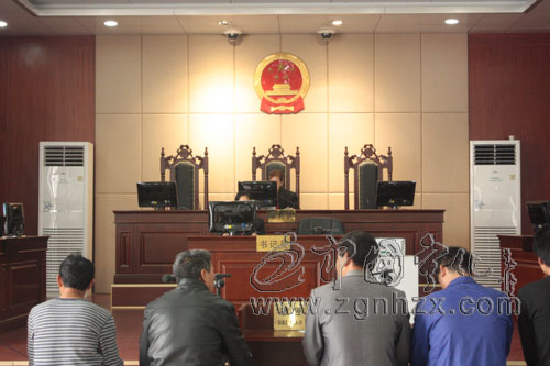 寧化開庭審理一起非法開采稀土案 9名嫌犯受審