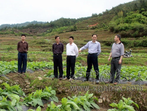 縣鄉領導在田間地頭組織群眾災后自救