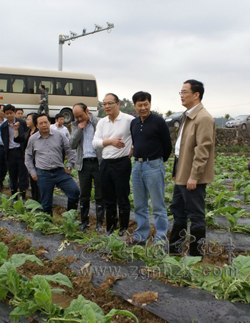 市委書記黃琪玉來寧指導抗災救災工作