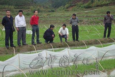 市農業專家組在寧化開展駐鄉巡村服務活動