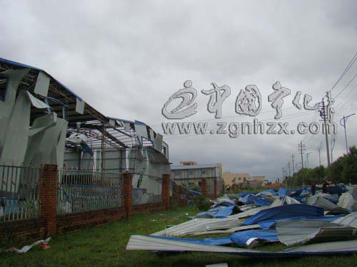 寧化城南工業園遭受雷雨大風襲擊受損嚴重
