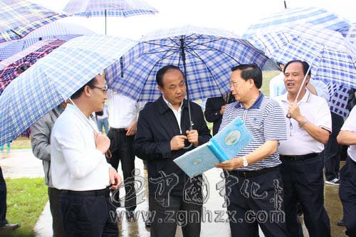 國家煙草專賣局副局長何澤華來寧察看受災煙田
