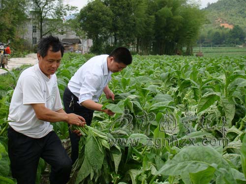 寧化再遭暴雨大風襲擊 干群奮力自救