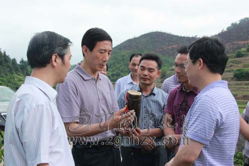 陳震到寧化河龍下伊村調研掛鉤幫扶工作