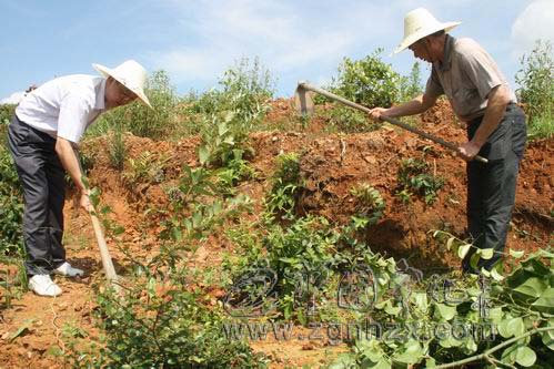 省經(jīng)貿(mào)委扶貧小組到下曹村駐村調(diào)研