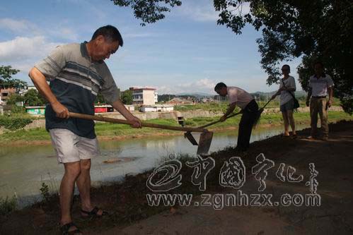 寧化千名黨員集中開展黨員奉獻日活動
