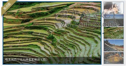 “新浪福建”博客首頁推薦寧化梯田