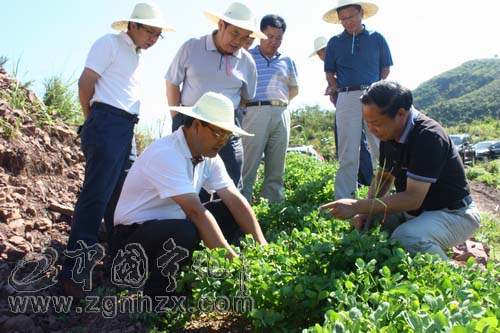 肖長根深入寒谷村辦實事促發展