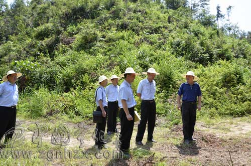 寧化建立首個生態復綠管護基地
