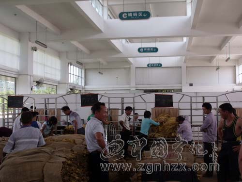 水茜鄉：緊抓烤煙收購不放松